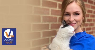 Vita Animal Health announces feline webinar series